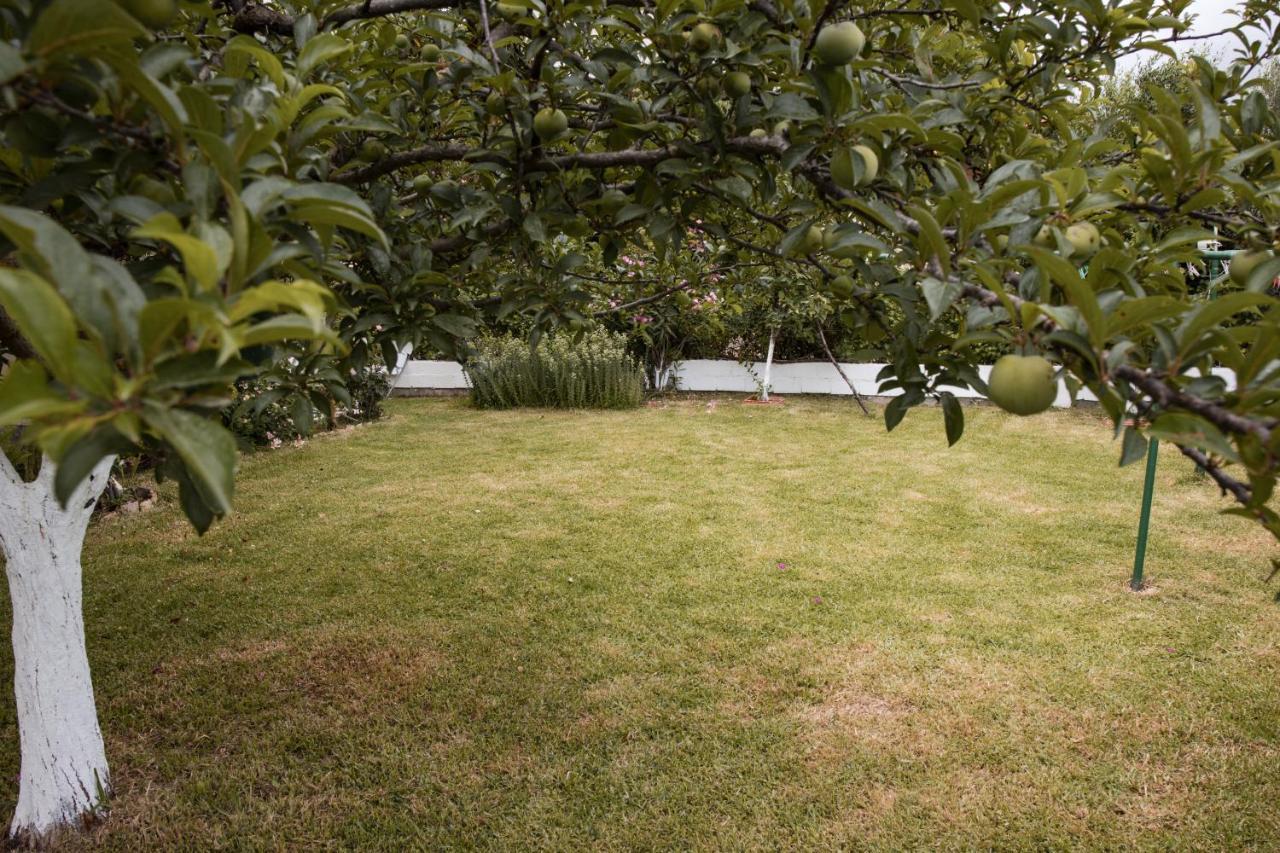 Anna Maria Apartments Spartia  Dış mekan fotoğraf